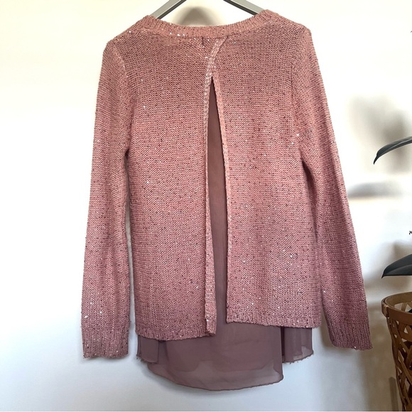 Papillon Knit Sweater with Sheer Layer - Picture 3 of 8